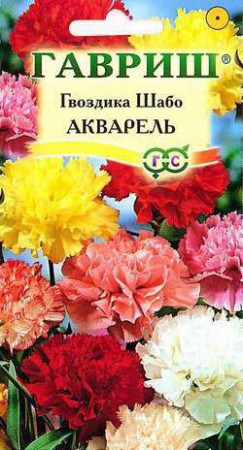 Гвоздика Шабо Акварель смесь - Сезон у Дачи