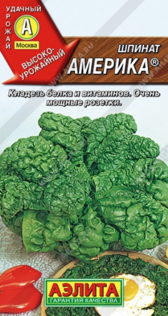 Шпинат Америка (Аэлита) - Сезон у Дачи