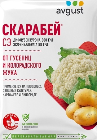 Скарабей 4мл Август - Сезон у Дачи