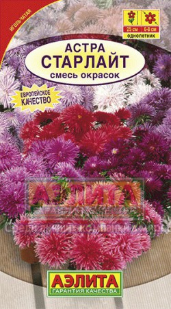 Астра Старлайт, смесь - Сезон у Дачи