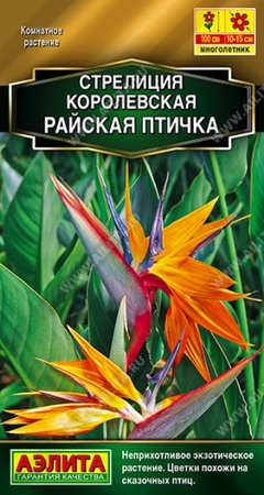 Стрелиция Райская птичка королевская 3шт (Аэлита) - Сезон у Дачи