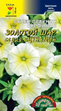 Сурфиния Золотой Шар /Цунами (ЦС) - Сезон у Дачи