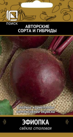 Свекла Эфиопка (Поиск) - Сезон у Дачи