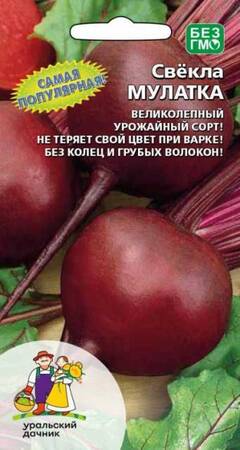 Свекла Мулатка® (УД) - Сезон у Дачи