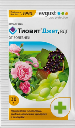 ТИОВИТ ДЖЕТ АВГУСТ 30гр - Сезон у Дачи