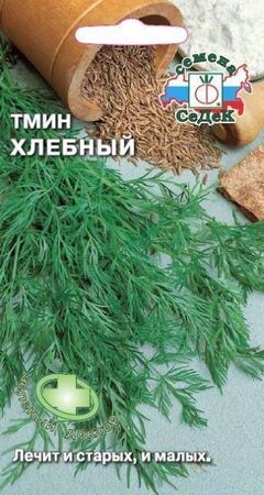 Тмин Хлебный (СеДеК) - Сезон у Дачи