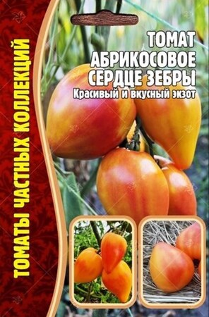 Томат Абрикосовое Сердце Зебры (Coeur De Zebre Apricot) - Сезон у Дачи