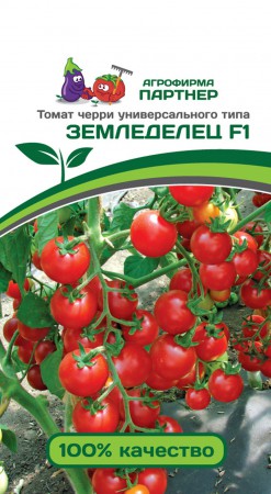 Томат Черри Земледелец F1 - Сезон у Дачи