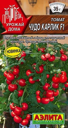 Томат Чудо карлик - Сезон у Дачи