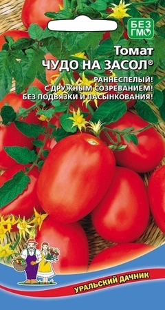Томат Чудо на засол (УД) - Сезон у Дачи