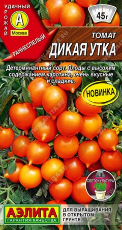 Томат Дикая утка (Аэлита) - Сезон у Дачи