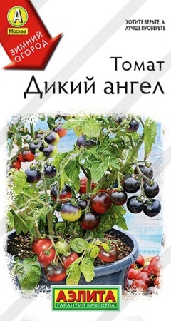 Томат Дикий Ангел (Аэлита) - Сезон у Дачи