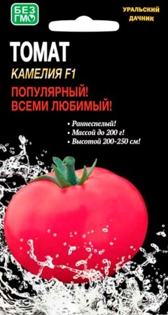 Томат Камелия F1 (УД) - Сезон у Дачи