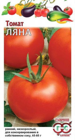 Томат Ляна - Сезон у Дачи
