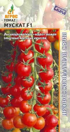 Томат Мускат F1 (Агрос) - Сезон у Дачи