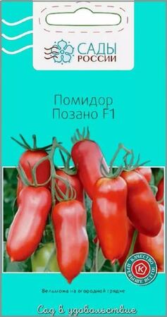 Томат Позано F1 (Сады России) - Сезон у Дачи