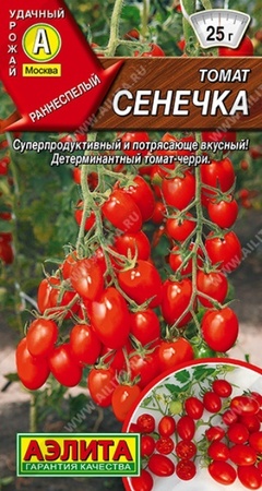 Томат Сенечка (Аэлита) - Сезон у Дачи