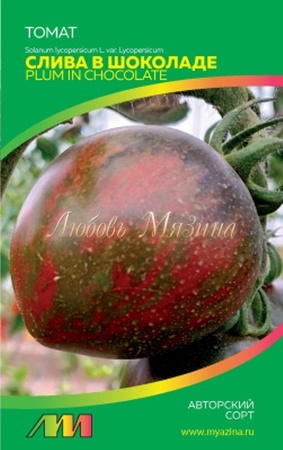 Томат Слива в шоколаде (Мязина) - Сезон у Дачи