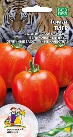 Томат Тигр (УД) - Сезон у Дачи