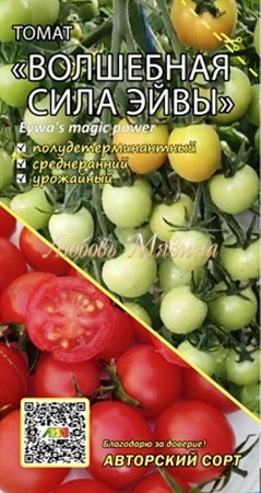 Томат Волшебная сила Эйвы (Мязина) - Сезон у Дачи