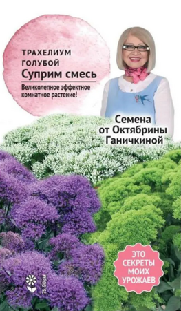 Трахелиум Суприм смесь /семена от Ганичкиной 5шт (Ботаника) - Сезон у Дачи