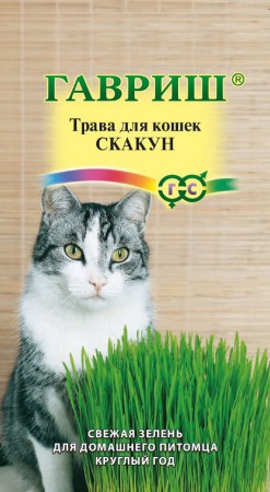 Трава для кошек Скакун (Гавриш) - Сезон у Дачи