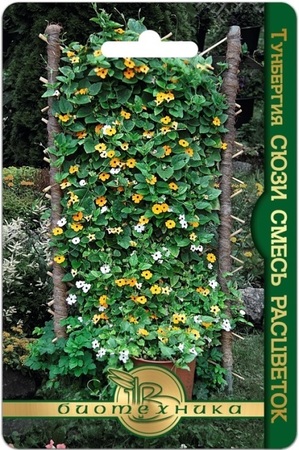 Тунбергия Сюзи смесь расцветок (БиоТехника) - Сезон у Дачи