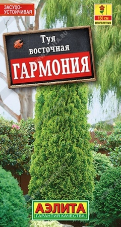 Туя восточная Гармония (Аэлита) - Сезон у Дачи