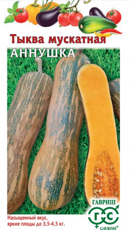 Тыква Аннушка мускатная (Гавриш) - Сезон у Дачи
