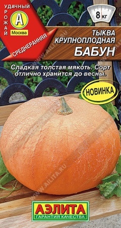 Тыква Бабун крупноплодная (Аэлита) - Сезон у Дачи