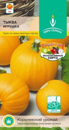Тыква Игрушка (Евро-Семена) - Сезон у Дачи