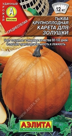 Тыква Карета для Золушки крупноплодная (Аэлита) - Сезон у Дачи