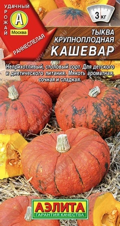 Тыква Кашевар крупноплодная (Аэлита) - Сезон у Дачи