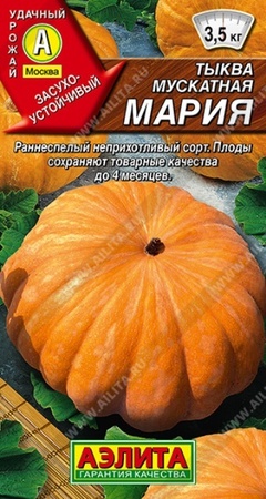 Тыква Мария мускатная (Аэлита) - Сезон у Дачи