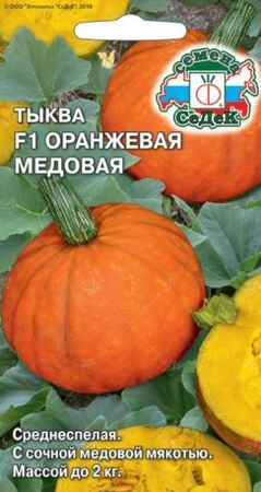Тыква Оранжевая медовая F1 порционная (СеДеК) - Сезон у Дачи