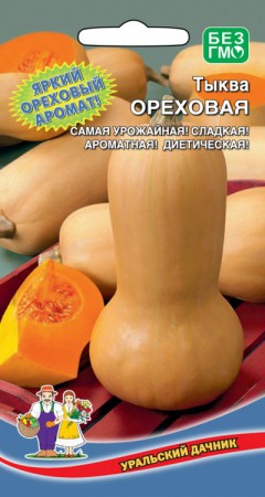 Тыква Ореховая (УД) - Сезон у Дачи