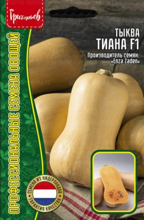 Тыква Тиана F1 мускатная порционная (Tiana) /Enza Zaden (Григорьев) - Сезон у Дачи