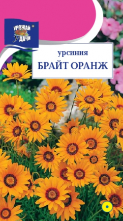 Урсиния Брайт Оранж (УУ) - Сезон у Дачи