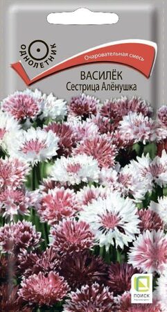 Василек Сестрица Аленушка (Поиск) - Сезон у Дачи