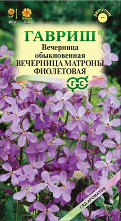 Вечерница Матроны фиолетовая (Хесперис) /сер.Сад ароматов (Гавриш) - Сезон у Дачи