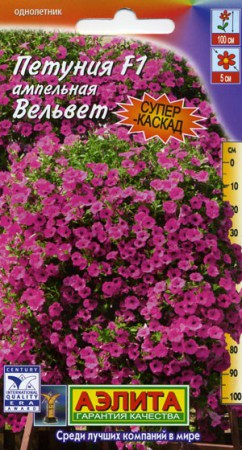 Петуния Вельвет F1 ампельная (Аэлита) - Сезон у Дачи