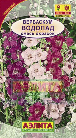 %2026 Вербаскум Водопад смесь (Аэлита) - Сезон у Дачи