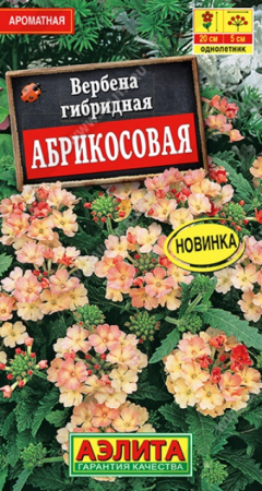 Вербена Абрикосовая 10шт (Аэлита) - Сезон у Дачи