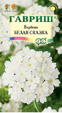 Вербена Белая сказка гибридная  0,1 г (Гавриш) - Сезон у Дачи