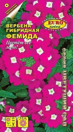 Вербена Фемида (Аэлита Экстра) - Сезон у Дачи