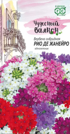 Вербена Рио де Жанейро низкая (Гавриш) - Сезон у Дачи