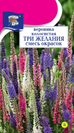 Вероника Три желания (УУ) - Сезон у Дачи