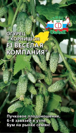 Огурец Веселая компания F1 (СеДеК) - Сезон у Дачи