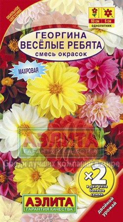 Георгина Веселые ребята, смесь - Сезон у Дачи