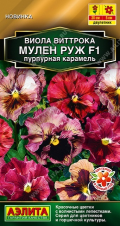 Виола Мулен Руж F1 Пурпурная карамель (Аэлита) - Сезон у Дачи